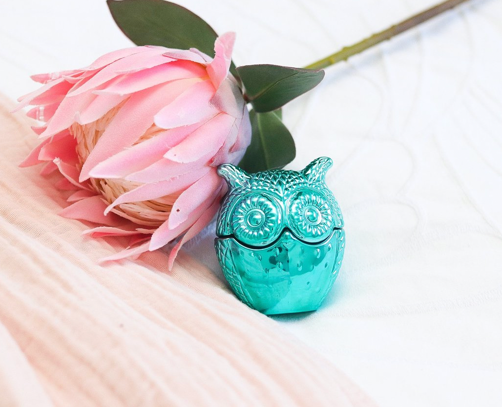 BABY OWL | TEAL